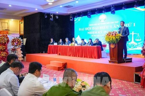Từ hợp nhất đến nâng tầm chất lượng luật sư ở Cần Thơ