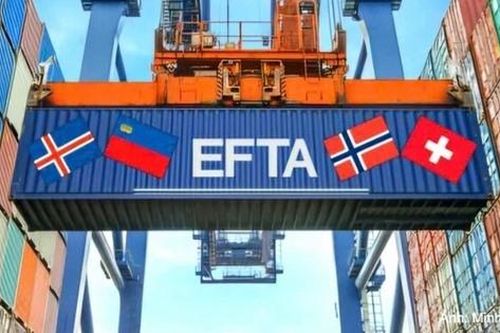 VEFTA mở rộng thị trường xuất khẩu, thu hút dòng vốn chất lượng cao