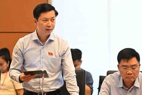 Đại biểu Quốc hội: Vốn phải đến đúng lúc, đúng nơi, đúng việc