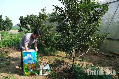 Phụ phẩm nông nghiệp: Từ thứ bỏ đi thành sản phẩm hàng hóa