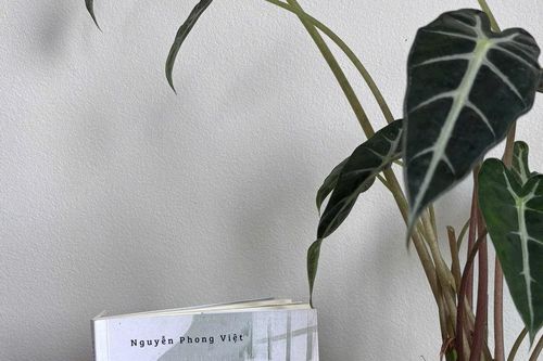 Trở về khi ta còn đủ yêu thương