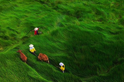 Sắc màu phụ nữ Đà Nẵng