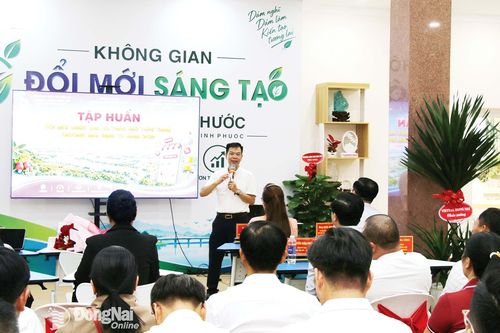 Thương mại điện tử là trụ cột quan trọng để thúc đẩy kinh tế số