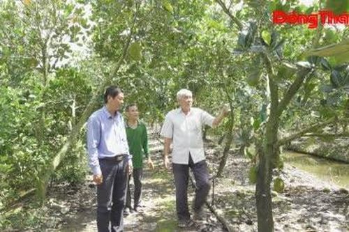 Thêm điểm tựa, tiếp sức nông dân Tháp Mười phát triển kinh tế