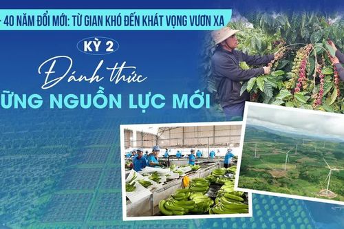 E-magazine Kỳ 2: Đánh thức những nguồn lực mới