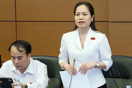 Đại biểu Siu Hương kiến nghị tháo gỡ vướng mắc trong xử lý tài sản công