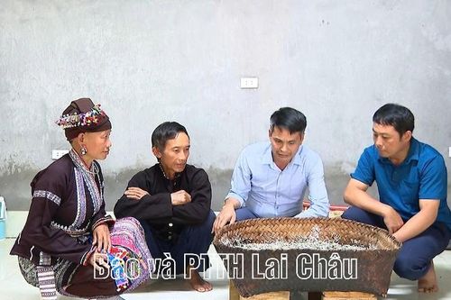 Tỷ lệ hộ nghèo vùng đồng bào dân tộc thiểu số giảm mạnh 5% mỗi năm