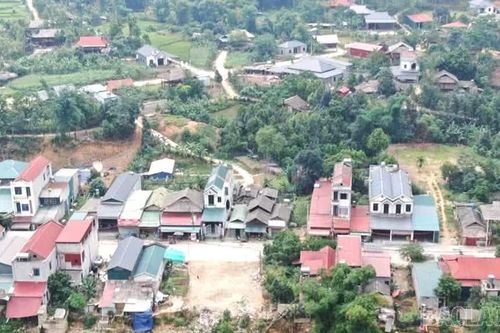 Phong Dụ Thượng phát triển kinh tế từ những con đường mới