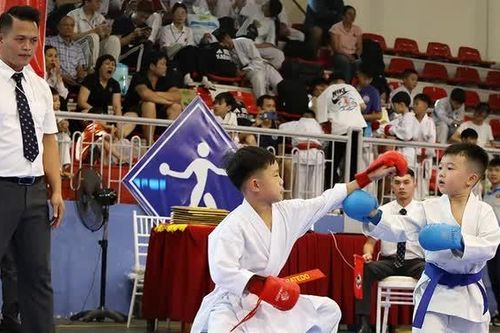 679 võ sinh tranh tài tại Giải vô địch các câu lạc bộ Karate tỉnh Phú Thọ mở rộng