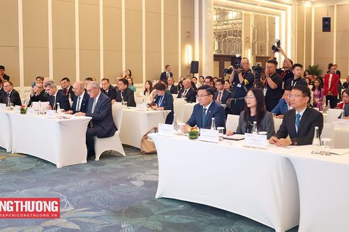Chính thức khai mạc Diễn đàn Kinh tế Việt Nam - Thụy Sỹ