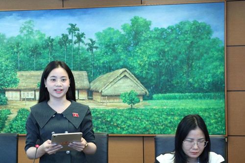 ĐBQH tỉnh Nghệ An kiến nghị sớm bổ sung phụ cấp đặc biệt cho 3 xã biên giới Sơn Lâm, Tam Quang, Tiền Phong