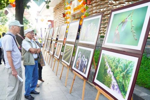 32 tác phẩm được trao giải tại Cuộc thi Ảnh nghệ thuật Việt Nam 2026