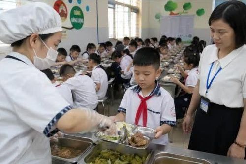Số hóa thực đơn học đường: Thêm công cụ cho bữa ăn bán trú