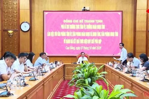 Nâng cao chất lượng tham mưu, phục vụ, đáp ứng yêu cầu trong giai đoạn mới