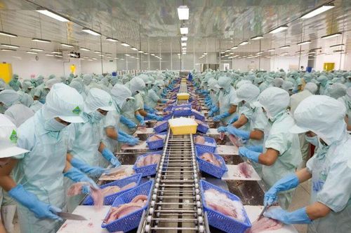 Hoàn thuế nhập khẩu: Doanh nghiệp thủy sản cần lưu ý gì?