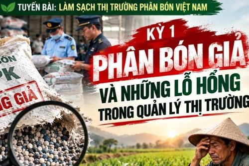 Làm sạch thị trường phân bón Việt Nam - Kỳ 1: Phân bón giả và những 'lỗ hổng' trong quản lý