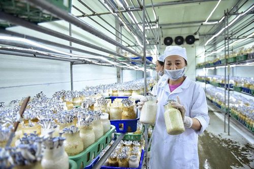 Nông sản Việt Nam và yêu cầu nâng sức cạnh tranh