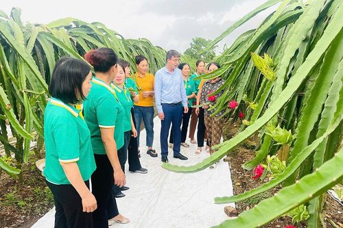 Lan tỏa những mô hình xanh