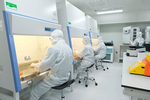 Tế bào gốc - 'chìa khóa' mở ra những triển vọng mới