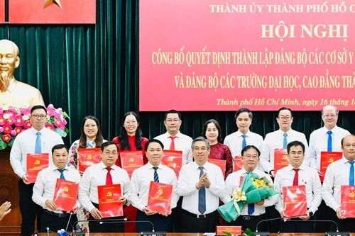 TPHCM thành lập Đảng bộ các cơ sở y tế, chỉ định nhân sự chủ chốt