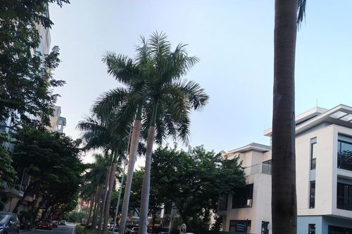 Hà Nội: Nhà riêng chờ tín hiệu quy hoạch