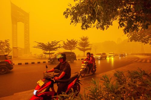 Vì sao cháy rừng ở Indonesia lại đe dọa cả Đông Nam Á?