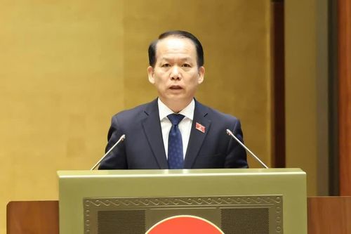 Cấm tham gia đấu giá quyền sử dụng đất ở đối với cá nhân trúng đấu giá nhưng 'bỏ cọc'