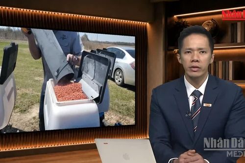 [Video] Tiêu điểm 19/10: Vì sao Mỹ nối lại nhập khẩu phân bón Belarus?
