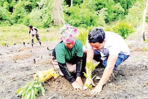 Danh sách thôn vùng đồng bào dân tộc thiểu số và miền núi, thôn đặc biệt khó khăn giai đoạn 2026-2030 tại 5 tỉnh