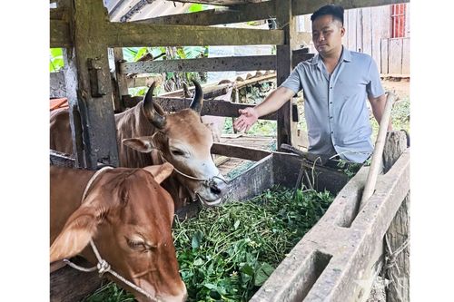 Tạo sinh kế, khơi ý chí thoát nghèo