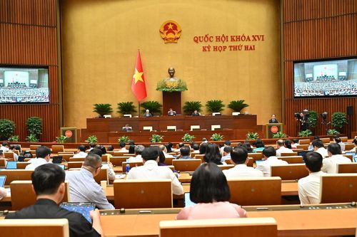 Đề xuất cấm cá nhân tham gia đấu giá quyền sử dụng đất nếu trúng đấu giá nhưng bỏ cọc