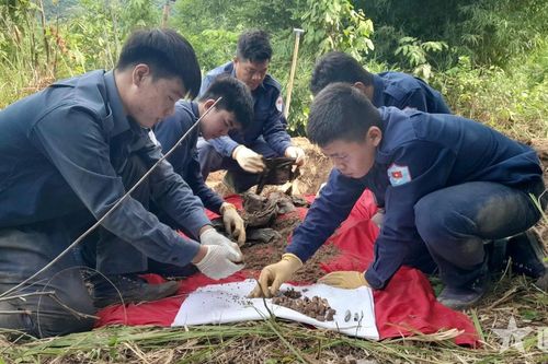 An Giang: Đội K93 tìm kiếm, quy tập được 2 hài cốt liệt sĩ tại xã Ô Lâm
