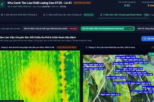 VNPT phát triển nền tảng dữ liệu UAV và AI cho quản lý sản xuất nông nghiệp