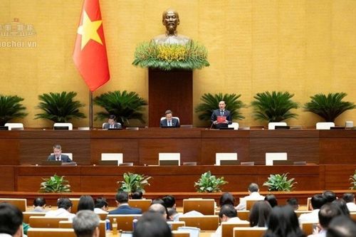 Hôm nay 19/10, Quốc hội thảo luận về nhiều dự án luật, trong đó có Luật Đấu giá tài sản