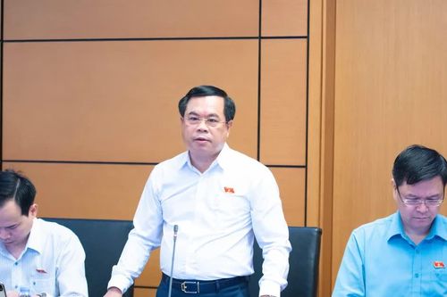 Khi đấu giá trực tuyến gặp sự cố: Không thể để người tham gia tự gánh thiệt hại