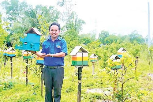 Làm 'biệt thự' cho ong dú