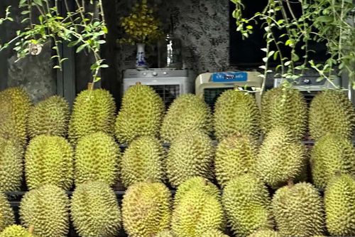 Người bệnh tiểu đường nên hạn chế 4 loại quả, thay bằng 4 loại khác