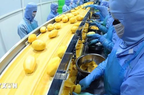 Việt Nam-Liên minh châu Âu: Nâng chuẩn nông sản, thúc đẩy chuyển đổi xanh