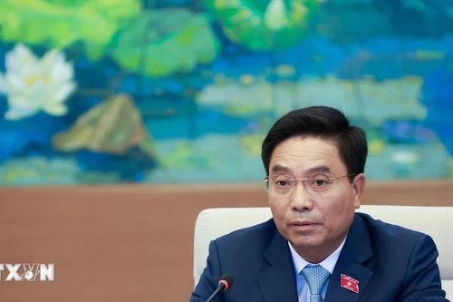 Sửa đổi toàn diện Luật Nuôi con nuôi nhằm hoàn thiện cơ chế bảo vệ trẻ em