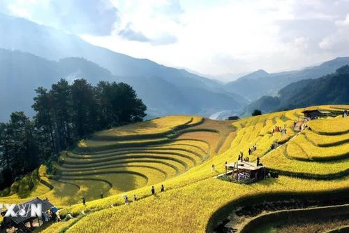 Việt Nam vào mùa đẹp nhất, đứng thứ 4 trong xu hướng du lịch mùa Thu 2026