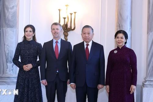 Tổng Bí thư, Chủ tịch nước Tô Lâm hội kiến Nhà vua Frederik X