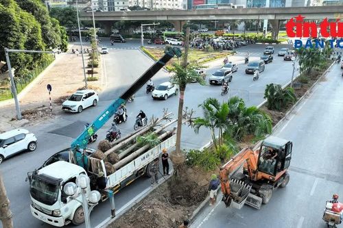 'Hạ giải' cây xanh để xây hầm chui thứ 8 ở Hà Nội