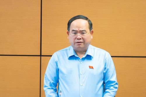 ĐBQH: 'Người đã từng phạm tội hiếp dâm, giao cấu với trẻ em dưới 16 tuổi không thể cho nhận con nuôi'