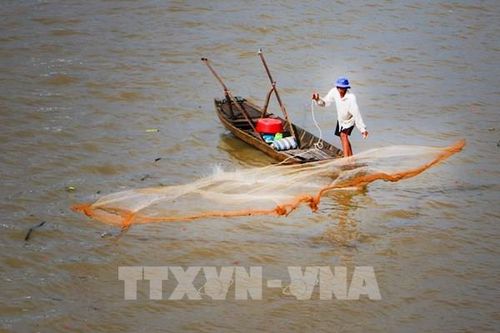 Mùa nước nổi Cần Thơ mang vẻ đẹp bình dị miền Tây