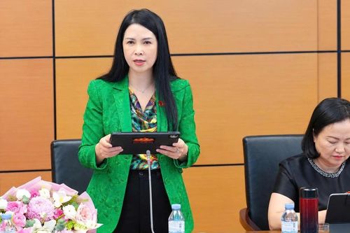 Đại biểu Trần Lan Phương: Đề xuất hoàn thiện quy định về nuôi con nuôi, bảo đảm quyền lợi trẻ em