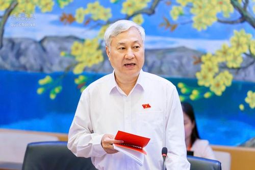 Đại biểu Quốc hội: Nâng chất lượng dự toán, nuôi dưỡng nguồn thu ngân sách bền vững