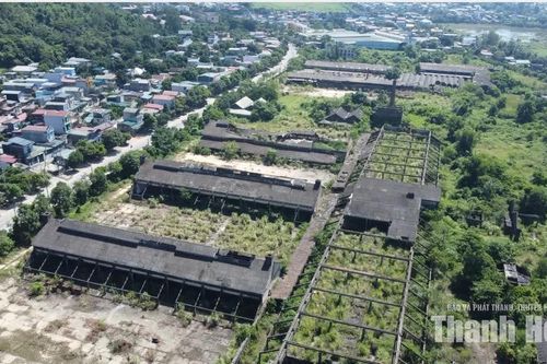 Gần 10ha đất bỏ hoang chờ phương án khai thác
