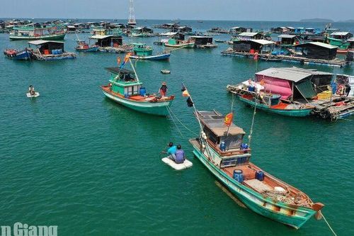 An Giang khơi thông nguồn lực, phát triển nuôi biển công nghệ cao