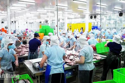 An Giang tăng tốc công nghiệp, thúc đẩy xuất khẩu cuối năm