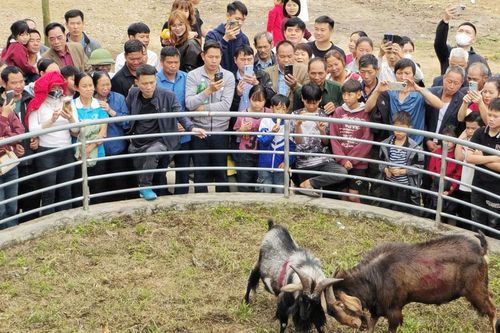 7 ngày hội tụ sắc màu văn hóa tại Lễ hội ẩm thực Yên Thế